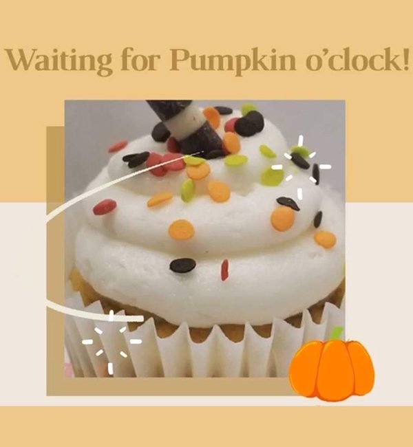 Cupcake - Pumpkin o'clock!