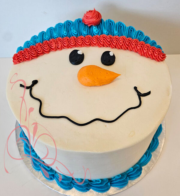 Winter/Christmas Cake